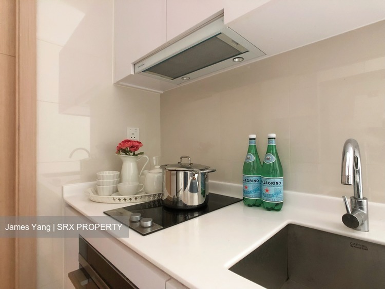 Ascent @ 456 (D12), Apartment #201444092
